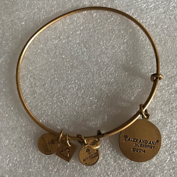 Alex and Ani Expandable Wire Bracelet - Picture 4 of 10